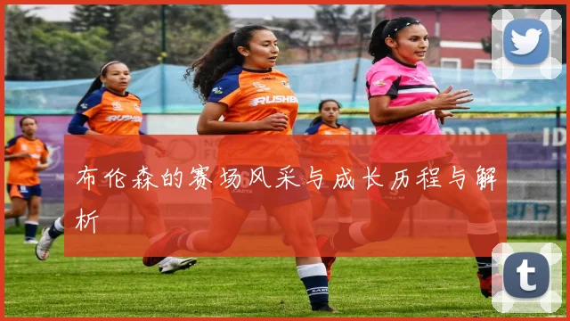 布伦森的赛场风采与成长历程与解析