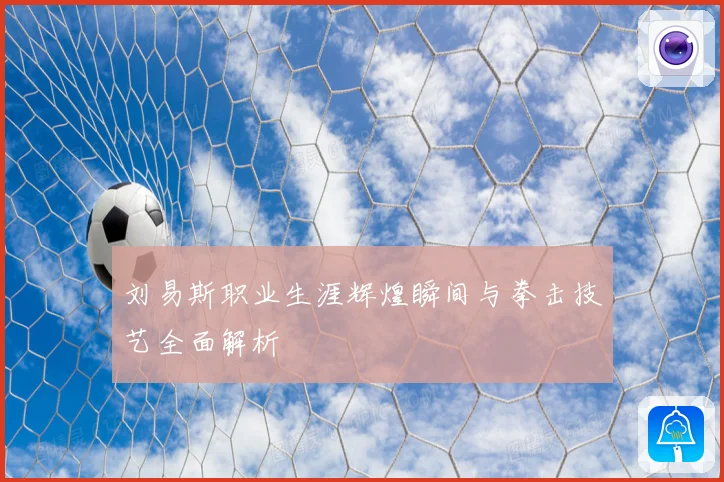 刘易斯职业生涯辉煌瞬间与拳击技艺全面解析