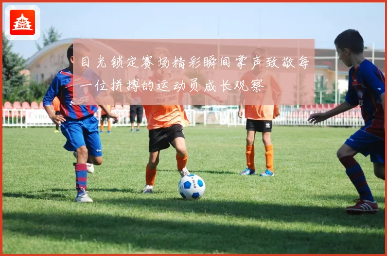 目光锁定赛场精彩瞬间掌声致敬每一位拼搏的运动员成长观察