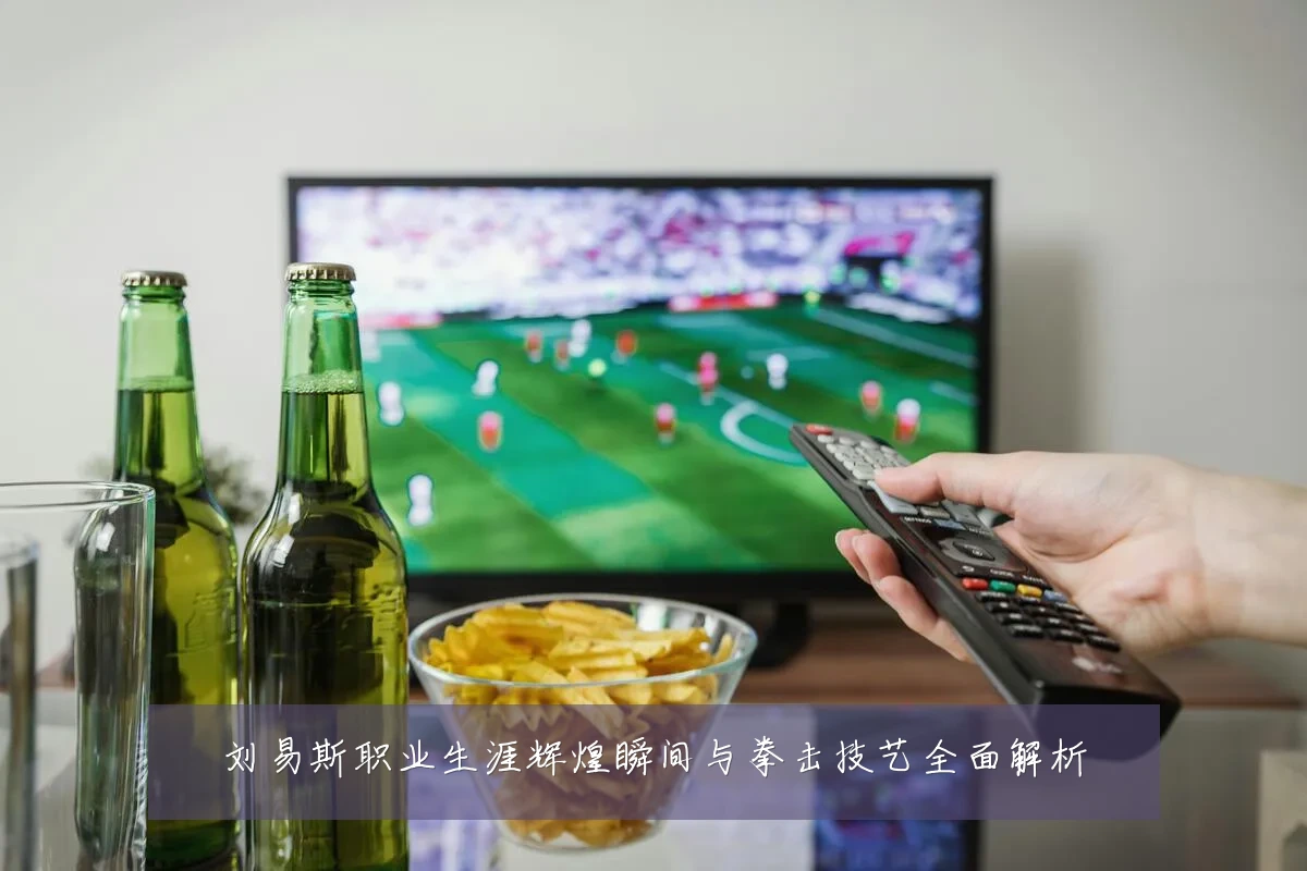 刘易斯职业生涯辉煌瞬间与拳击技艺全面解析