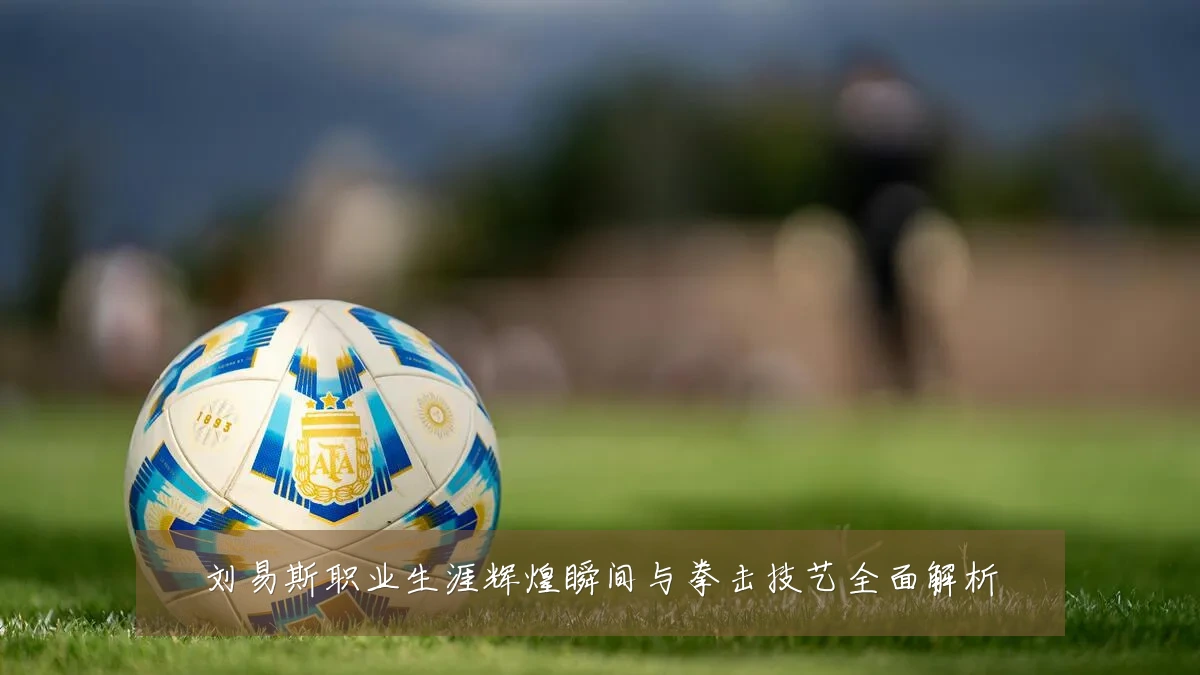 刘易斯职业生涯辉煌瞬间与拳击技艺全面解析