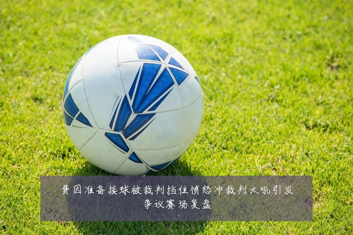 费因准备接球被裁判挡住愤怒冲裁判大吼引发争议赛场复盘